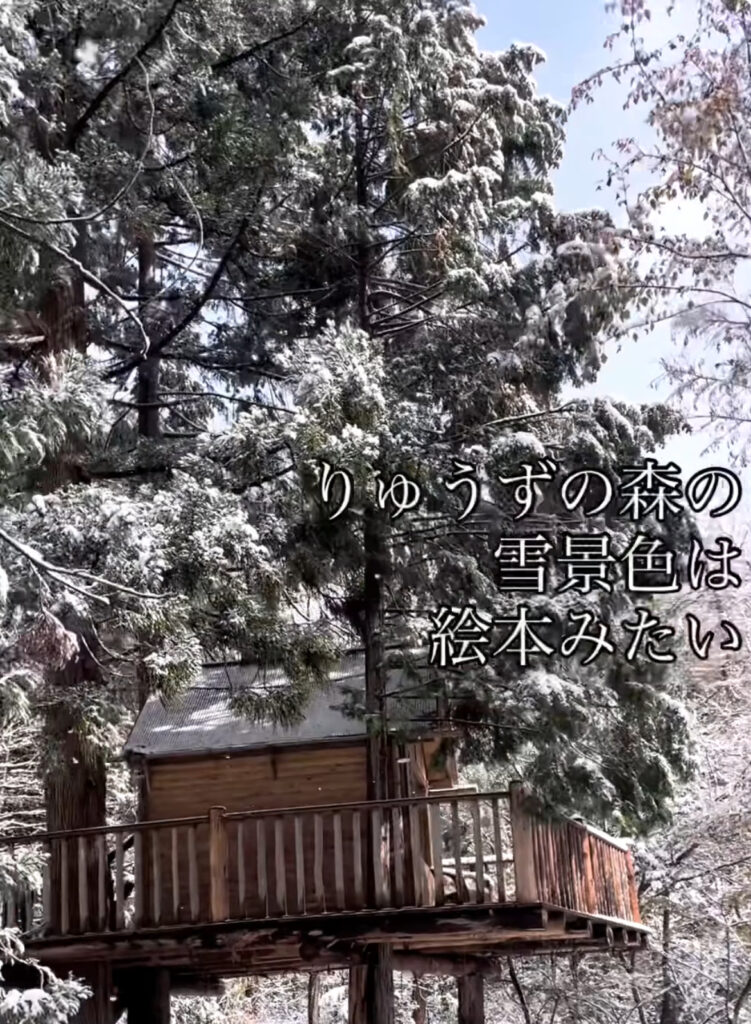 りゅうずの森　雪景色
